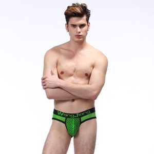 Brief WangJiang 2014-SJ Verde