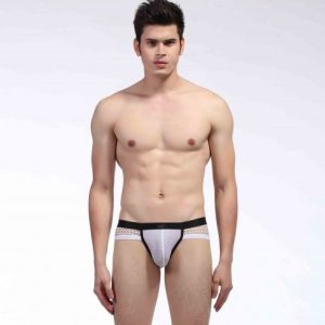 Brief WangJiang 2015-SJ Blanco